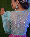 Banarasi Pleated Skirt with Croptop Back Aari Work