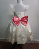 Princess Baby Gown with Yoke Aari Work