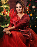 Party Wear Gown