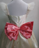 Princess Baby Gown with Yoke Aari Work