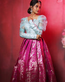 Banarasi Pleated Skirt with Croptop Back Aari Work